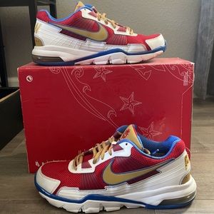 Nike Trainer SC 2010 Low. Size 10